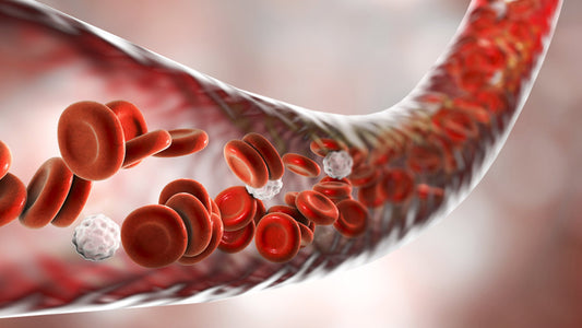 Improving Blood Circulation with Red Light Therapy